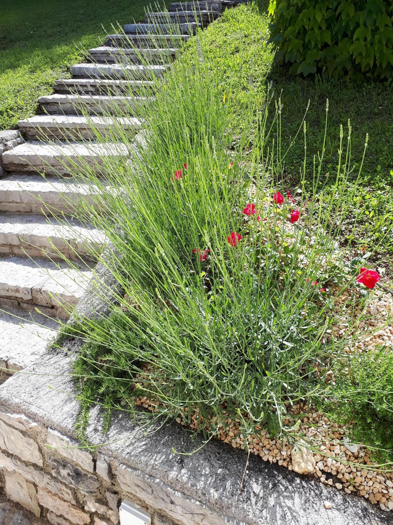 Ferienhaus In Tremosine Sul Garda Pieve  Bagian luar foto